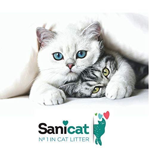 SANICAT Evolution Senior, Arena de Gato - 6L