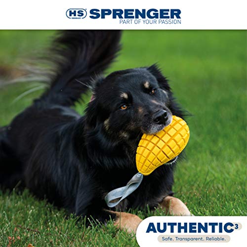 Sprenger Juguete para perros de mango con escondite de golosina, juguete de inteligencia para el perro de caucho natural para el cuidado dental natural