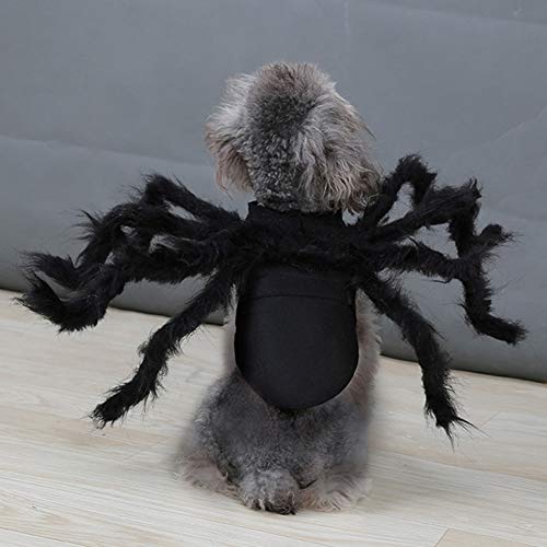 TAKEFUNS Disfraz de Tarántula de Halloween, disfraz de perro araña, patas artificiales de araña, ropa de fiesta de Halloween, ropa de carnaval, trajes de cosplay cálidos para gatos, talla M