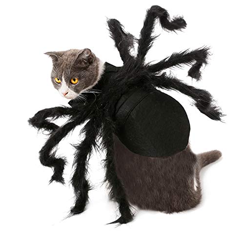 TAKEFUNS Disfraz de Tarántula de Halloween, disfraz de perro araña, patas artificiales de araña, ropa de fiesta de Halloween, ropa de carnaval, trajes de cosplay cálidos para gatos, talla M