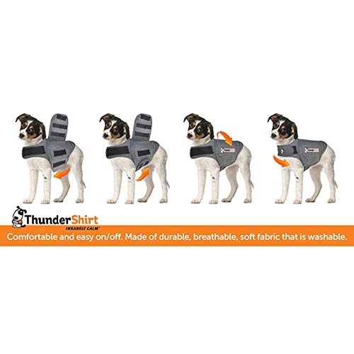 Thundershirt Abrigo antiansiedad para Perro