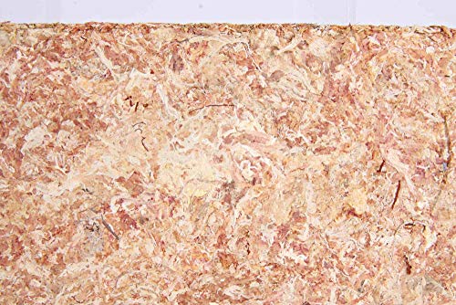 Trixie Bloque de sustrato de terrario tropical de musgo esfagno, 100g
