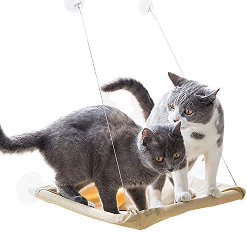 UBVV - Hamaca para gatos con ventosas grandes, desmontable y lavable