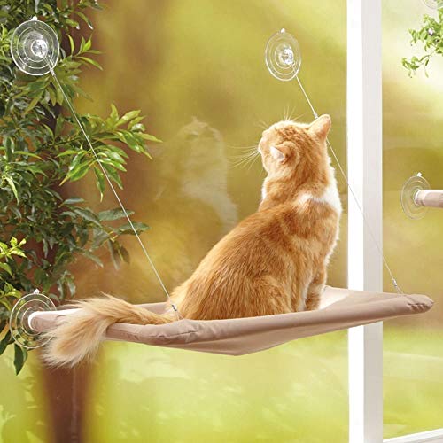 UBVV - Hamaca para gatos con ventosas grandes, desmontable y lavable
