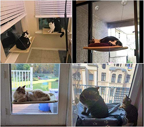 UBVV - Hamaca para gatos con ventosas grandes, desmontable y lavable