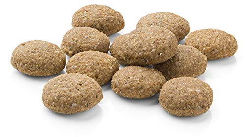 Unbekannt Mera Pure Sensitive Adult - Pienso de salmón y arroz para Perros, para la Dieta Diaria de Perros con alergias alimenticias