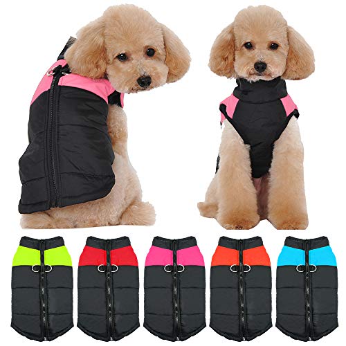 UWOOD Invierno Pet Perro Ropa pequeño Agua Densidad Perros Abrigo Chaqueta de Invierno Acolchada (almohadillado búfer Pet Ropa