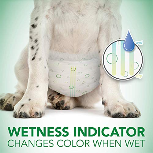 Vet's Best Consumido de pañales para Perros de Confort Pañales de Perro Femenino Desechables | Absorbente con Ajuste a Prueba de Fugas | Grande 12pk