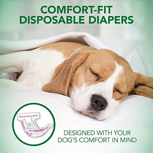 Vet's Best Consumido de pañales para Perros de Confort Pañales de Perro Femenino Desechables | Absorbente con Ajuste a Prueba de Fugas | Grande 12pk