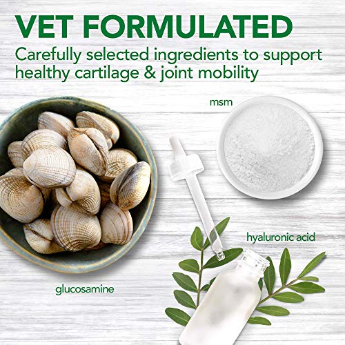 Vet's Best Suplementos avanzados de Cadera y Perro Conjunto formulados con glucosamina y condroitina para apoyar la Salud de la articulación del Perro y el cartílago 1 Unidad 190 g