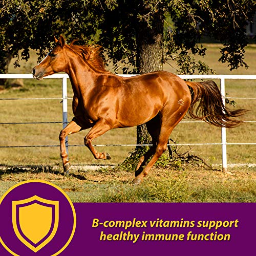Vitamina Red Cell Opciones:3.78 Litro
