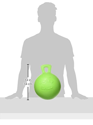 William Hunter WALDHAUSEN Jolly Ball - Bola aromática de Manzana, Verde, 25 cm, Aroma de Manzana Verde