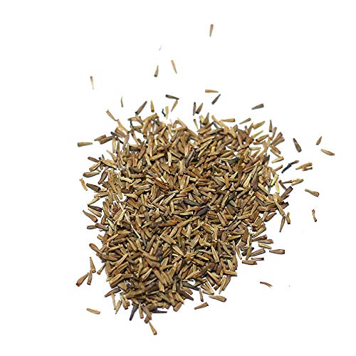 XINDUO Semillas de Flores perennes,Semillas de piretro-200 cápsulas,Plantas Coloridas Semillas