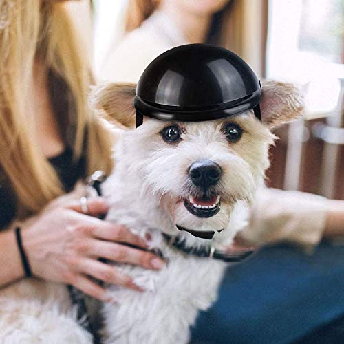 YGHH Casco de Perro para Motocicleta, Casco para Mascotas, Casco para Perros, Universal El Plastico Ajustable Casco de Moto para Perro para Perros Medianos, Perros Pequeños, Gatos (Negro)