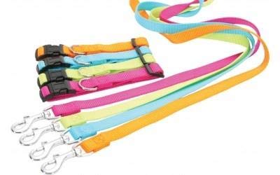 Zolux - Correa de Nailon para Perro, 60 cm/40 mm, Color anís