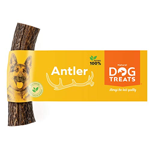 100% Natural Asta de Ciervo para Perro Cuerno Masticar Hueso Juguete, Tamaño Medium