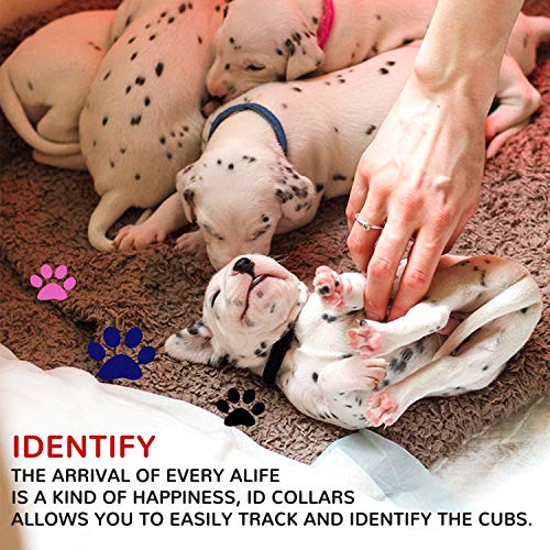 15 Piezas Collares Cachorro,XCOZU Collar De Mascota Ajustables Etiqueta De Identificación Para Cachorros De Mascota Recién Nacidos,Nylon De Colores Banda De Identificación De Cachorro Suave