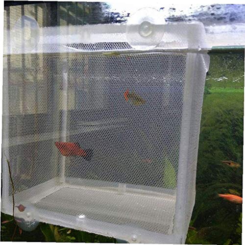 2 Piezas Acuario Criador de Peces, Incubadora de Peces de Acuario, Caja de Cría de Peces, Criadero de Peces con Ventosa, para Acuario, incubadora Flotante