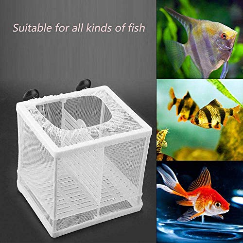 2 Piezas Acuario Criador de Peces, Incubadora de Peces de Acuario, Caja de Cría de Peces, Criadero de Peces con Ventosa, para Acuario, incubadora Flotante
