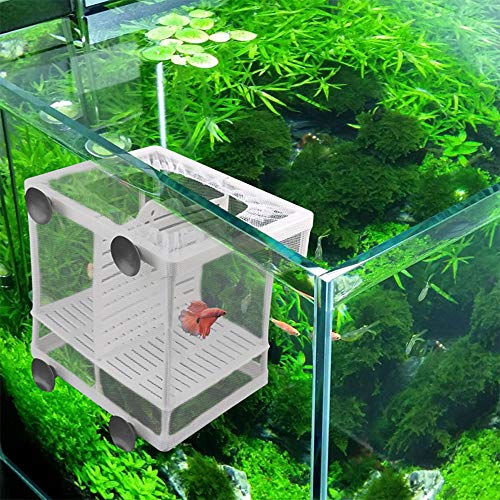 2 Piezas Acuario Criador de Peces, Incubadora de Peces de Acuario, Caja de Cría de Peces, Criadero de Peces con Ventosa, para Acuario, incubadora Flotante