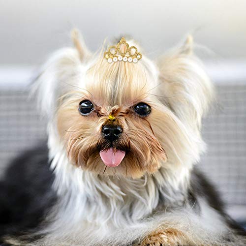 25Pcs Pinzas para el Pelo de Perro, Perlas de Horquilla para Mascotas con Forma de Corona Pinzas para Princesa para Mascotas Pinzas para el Cabello de Gato Lindo Arcos Accesorios para el Cabello