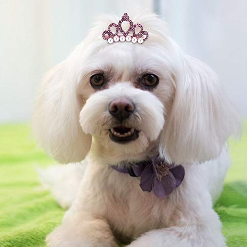 25Pcs Pinzas para el Pelo de Perro, Perlas de Horquilla para Mascotas con Forma de Corona Pinzas para Princesa para Mascotas Pinzas para el Cabello de Gato Lindo Arcos Accesorios para el Cabello