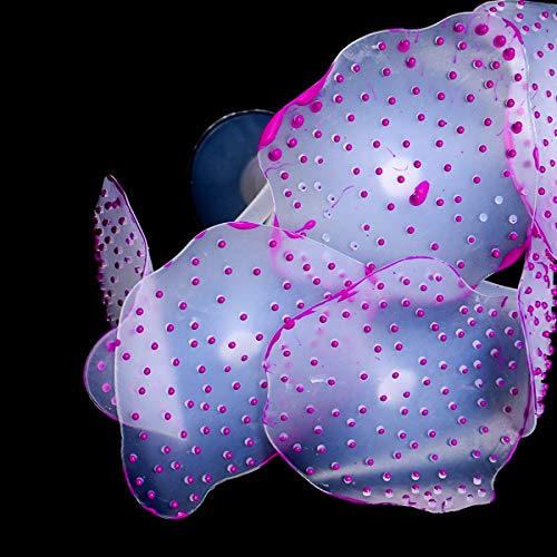 5 Pzs Acuario Coral de Silicona Plantas de Coral Artificial Decoraciones Coralinas Marina Realista Ornamento para Paisaje de Tanque de Pescados Acuario en Naranja Rosa Púrpura Verde Azul Color