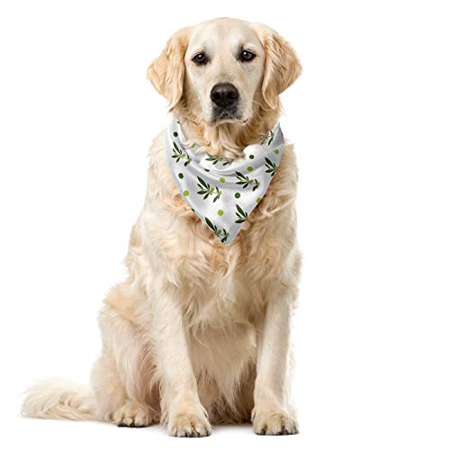 ABAKUHAUS Aceituna Bandana para Mascotas, 55x55 cm, Aceituna Verde Manzana Verde