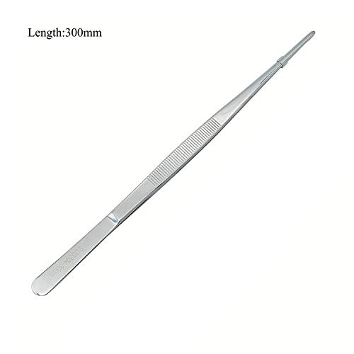ABMRO Pinzas rectas de jardín de cocina de acero inoxidable de 30 cm, pinzas largas para cocina, reparación, médico, belleza, alimentos marinos y tanque de pescado