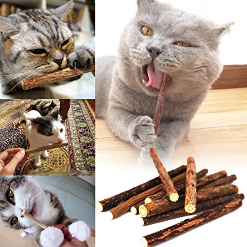 ACAMPTAR 5pzs Actinidia polygama Natural Bocadillo de Mascota Palillo para Masticar de Gato Juguete de Tratar Hierba gatera Comida Molar Menta de Gato