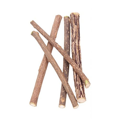 ACAMPTAR 5pzs Actinidia polygama Natural Bocadillo de Mascota Palillo para Masticar de Gato Juguete de Tratar Hierba gatera Comida Molar Menta de Gato
