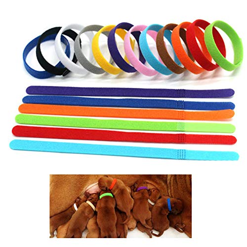AchidistviQ 12 bandas de identificación para perros pequeños, gatos y cachorros, color aleatorio L