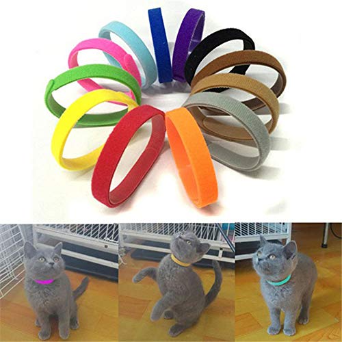 AchidistviQ 12 bandas de identificación para perros pequeños, gatos y cachorros, color aleatorio L