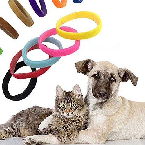 AchidistviQ 12 bandas de identificación para perros pequeños, gatos y cachorros, color aleatorio L