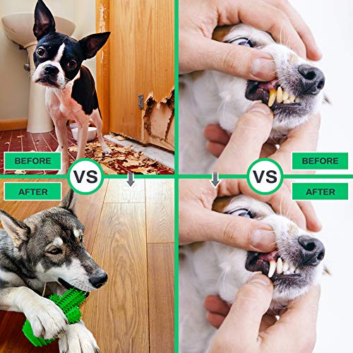 Achort Cepillo de Dientes para Perros Cepillo para Perros, Cepillo para Perros de Goma 100% Natural, higiene Dental Limpieza Cuidado bucal Mascota masticable Juguete no tóxico Verde