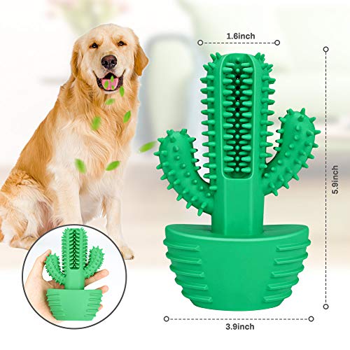 Achort Cepillo de Dientes para Perros Cepillo para Perros, Cepillo para Perros de Goma 100% Natural, higiene Dental Limpieza Cuidado bucal Mascota masticable Juguete no tóxico Verde