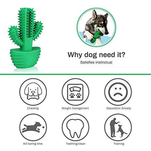 Achort Cepillo de Dientes para Perros Cepillo para Perros, Cepillo para Perros de Goma 100% Natural, higiene Dental Limpieza Cuidado bucal Mascota masticable Juguete no tóxico Verde