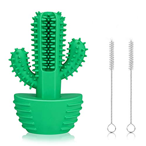 Achort Cepillo de Dientes para Perros Cepillo para Perros, Cepillo para Perros de Goma 100% Natural, higiene Dental Limpieza Cuidado bucal Mascota masticable Juguete no tóxico Verde