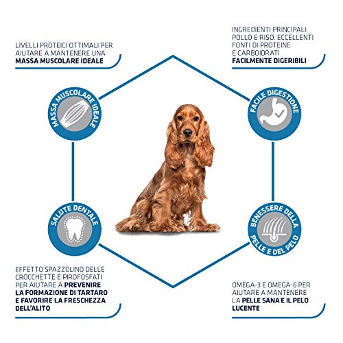 Advance Adult Medium - Pienso para Perros Adultos De Razas Medianas - Pack De 3 x 3kg - Total 9kg