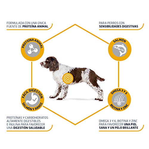 ADVANCE Sensitive - Pienso para Perros Medium-Maxi Adult con Salmón y Arroz - 3Kg