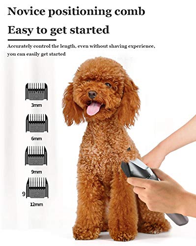 Afeitadora para mascotas, ruido bajo Maquinillas para higiene para gatos Conjunto de afeitadora, Especial para mascotas, alta potencia, sin interferencias, Peines y lubricantes de 4 límites gratis.