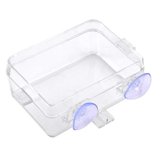 Alimentador de Reptiles, Cuenco Transparente de alimentación de Gusanos, Anfibios Reptiles Alimentador Anti-Escape con Ventosa, Cuenco de Comida sobre orugas para Serpientes Tortuga Camaleón Lagarto