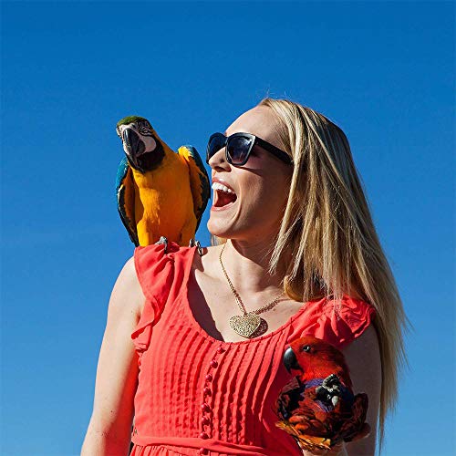 Amasawa 6 Piezas Unidades Juguetes para Pájaros Colorful Columpio para Loros Accesorios Jaula Pajaros Bite Toy con Campanas para Periquitos,Columpio y Campana,Juguetes para Masticar para Loros