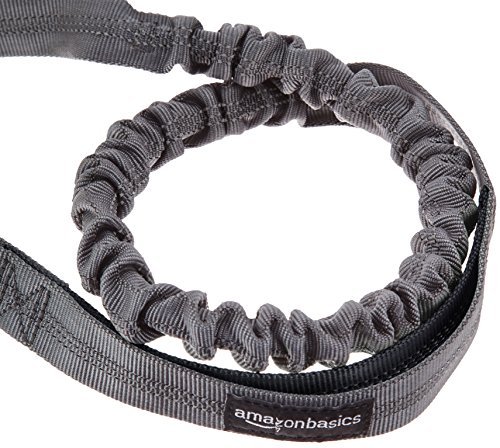 Amazon Basics - Correa elástica para perros manos libres con mango doble, 0,9 m, Negro