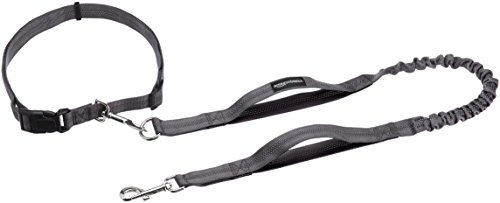 Amazon Basics - Correa elástica para perros manos libres con mango doble, 0,9 m, Negro