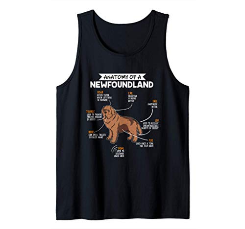 Anatomy Of A Newfoundland Dog Regalo Terranova Perro Camiseta sin Mangas