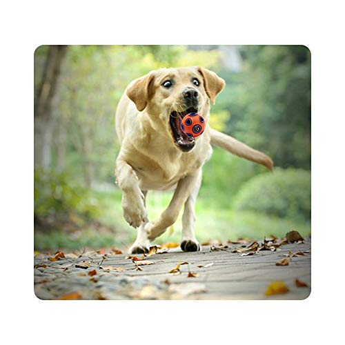 Andiker Pelota interactiva para perros, juguete para perros con campana, pelota de goma, pelota para saltar, juego deportivo para mascotas, pelota de inteligencia IQ, resistente a mordeduras (L, azul)