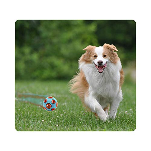 Andiker Pelota interactiva para perros, juguete para perros con campana, pelota de goma, pelota para saltar, juego deportivo para mascotas, pelota de inteligencia IQ, resistente a mordeduras (L, azul)
