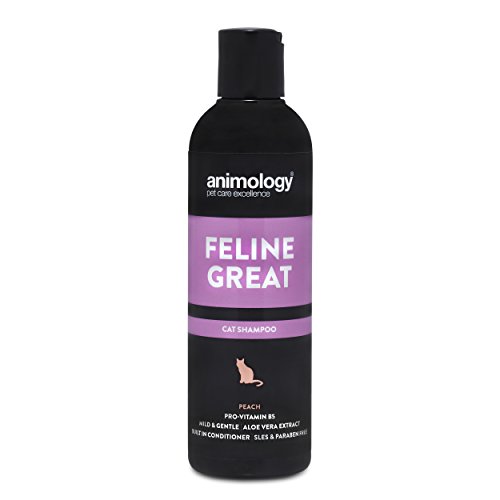 Animology, champú para gatos Feline Great, 250 ml