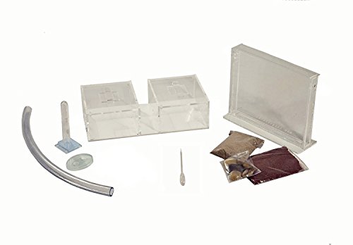 AntHouse - Hormiguero Natural de Arena - Kit Mini (Sándwich + Caja de Forrajeo) (Hormigas Gratis)